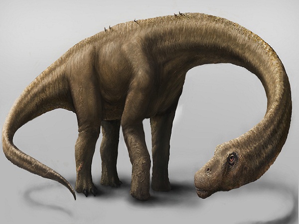 Khung long Argentinosaurus
