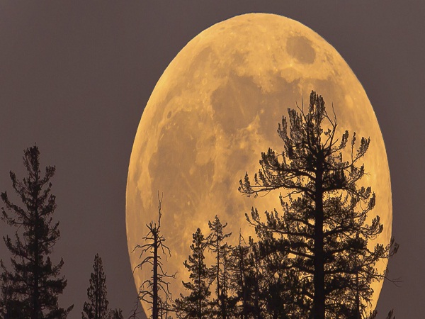 Tìm hiểu về hiện tượng Siêu trăng là gì