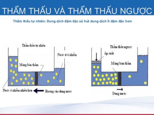 Nguyên Lý Hoạt Động Của Công Nghệ Thẩm Thấu Ngược