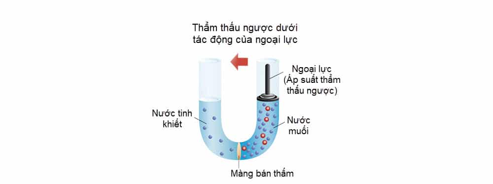 Công Nghệ Thẩm Thấu Ngược (RO): Giải Pháp Cho Nguồn Nước Sạch